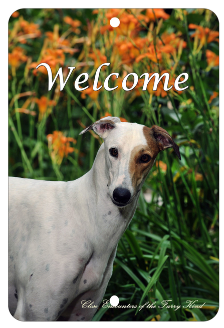 Greyhound - Best of Breed  Indoor/Outdoor Aluminum Sign