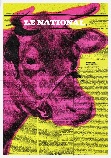 Cow Newspaper Glass Wall Art