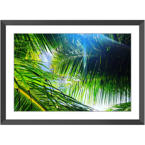Light Breeze - Framed Prints