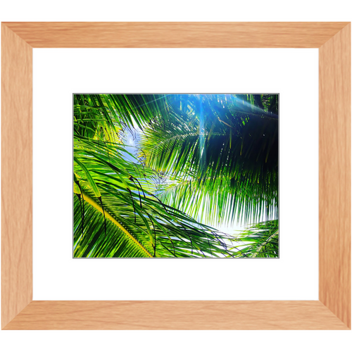Light Breeze - Framed Prints