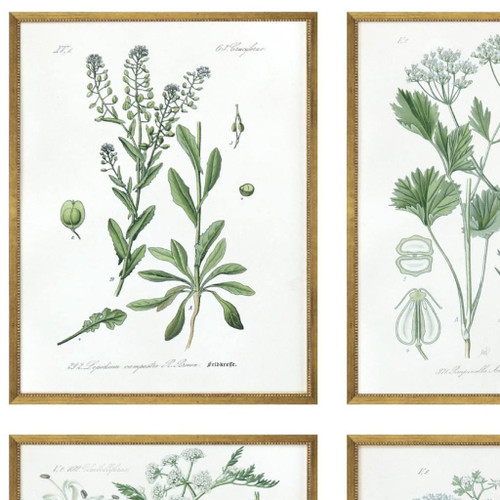 Set Of Four Assemblage Gold Framed Wall Art