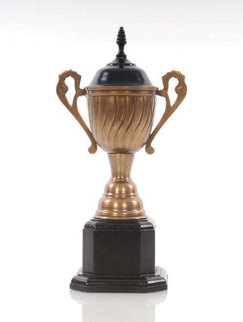 6.5" X 4.5" X 12.5" Alum Wooden Trophy Big