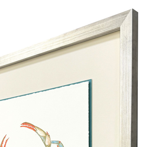 Crab Celebration II Silver Shadowbox Wall Art