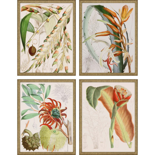 Set Of Four Tropical Variety Gold Framed Print Wall Art