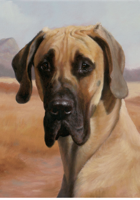 Great Dane - Best of Breed Portrait   Outdoor Flag