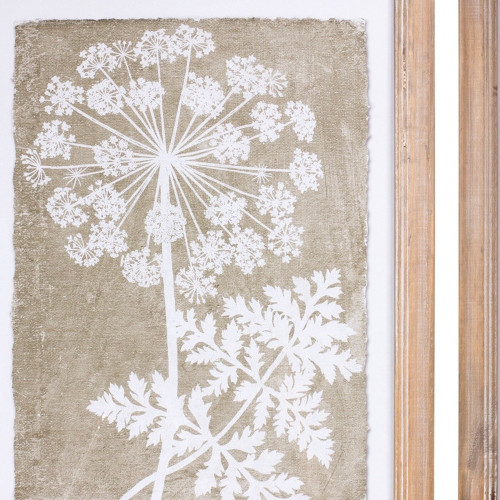 Set Of Two Queen Anne's Lace and Fern Almond Framed Wall Art
