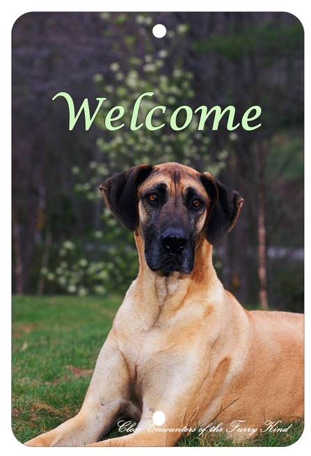 Great Dane - Best of Breed  Indoor/Outdoor Aluminum Sign