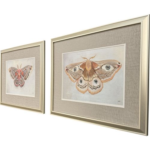 Set Of Two Forest Moth Gold Framed Wall Art