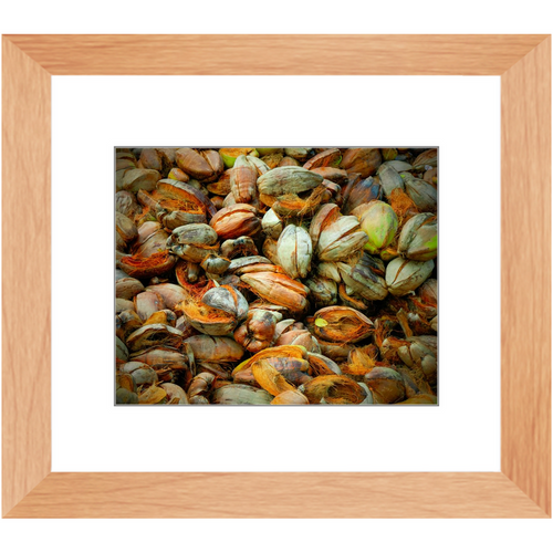 Hazy in the Coconut - Framed Prints