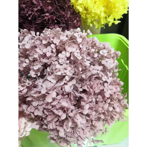 Preserved Hydrangeas, Dried Floral Decor