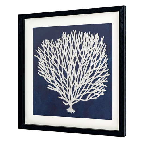 Sea Fan I Black Shadowbox Textual Art Wall Art
