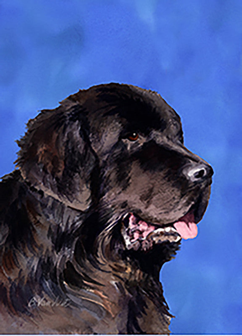 Newfoundland - Best of Breed Outdoor Portrait Flag