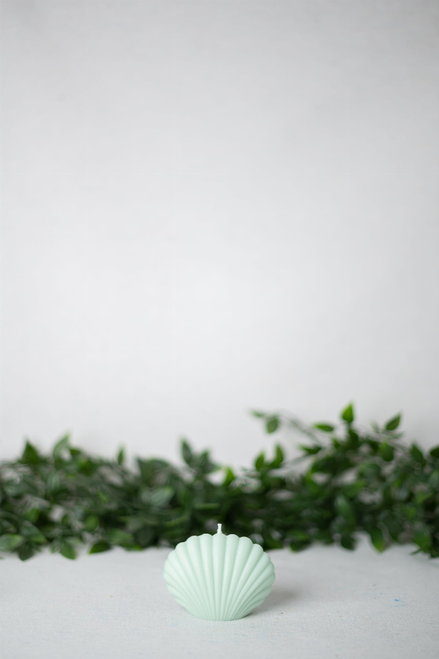 Shell Candle Collection