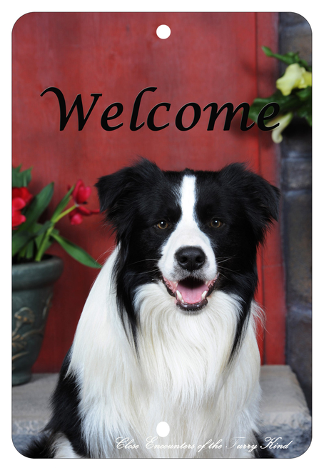 Border Collie - Best of Breed  Indoor/Outdoor Aluminum Sign