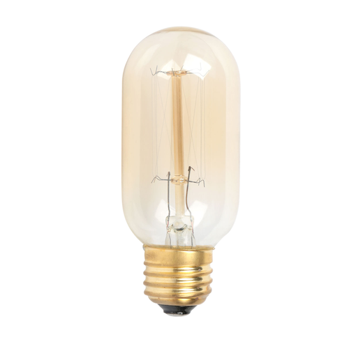 Edison Light Bulb