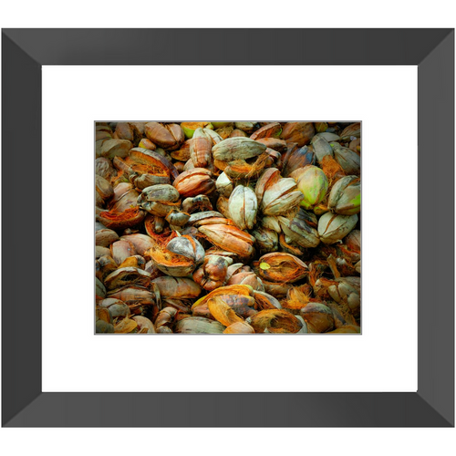 Hazy in the Coconut - Framed Prints