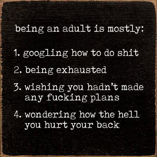 Being An Adult Is Mostly: 1. Googling How To Do Shit ...