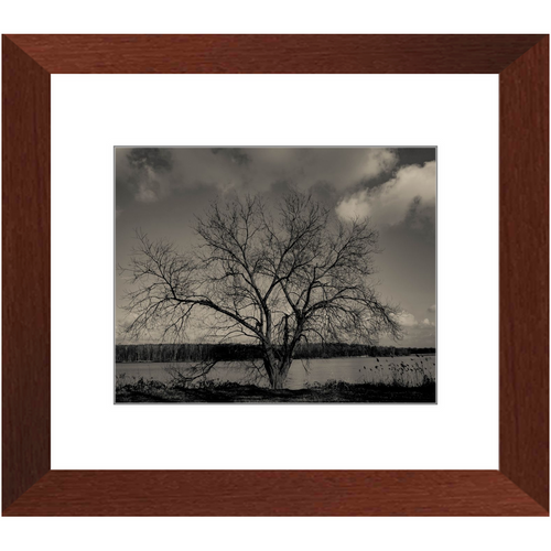 Baum im Winter - Framed Prints