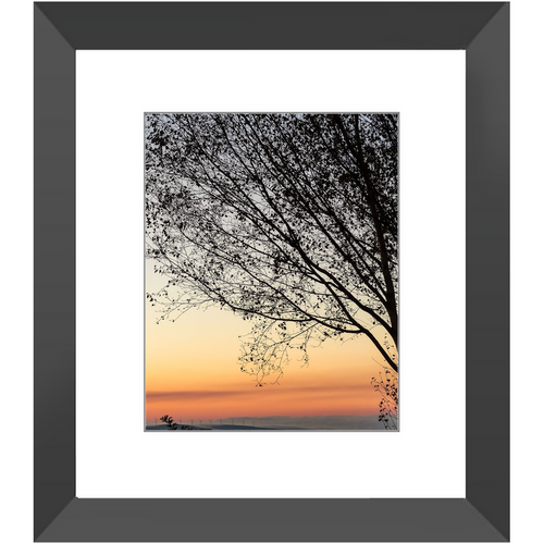 Sunset Tree - Framed Prints