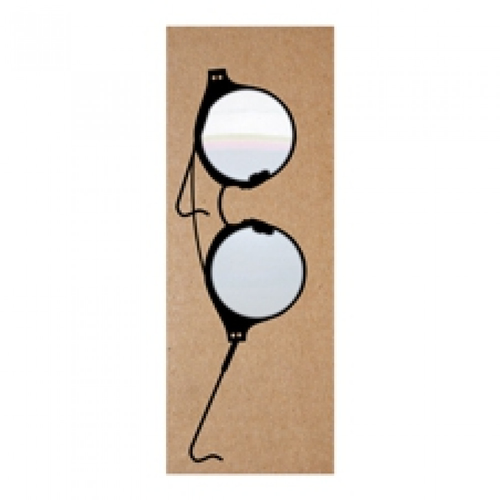 The Really Useful Magnifying Bookmark