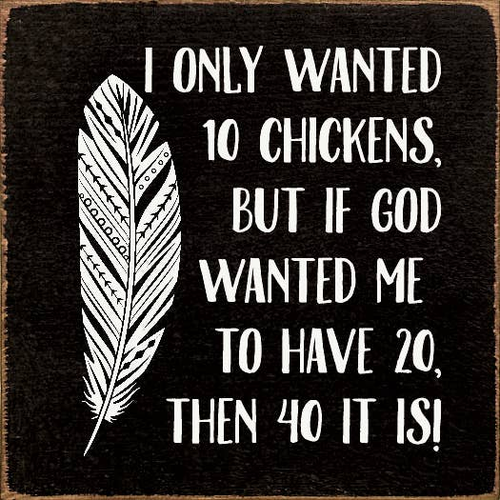 I Only Wanted 10 Chickens, But If God Wanted Me To Have 20,