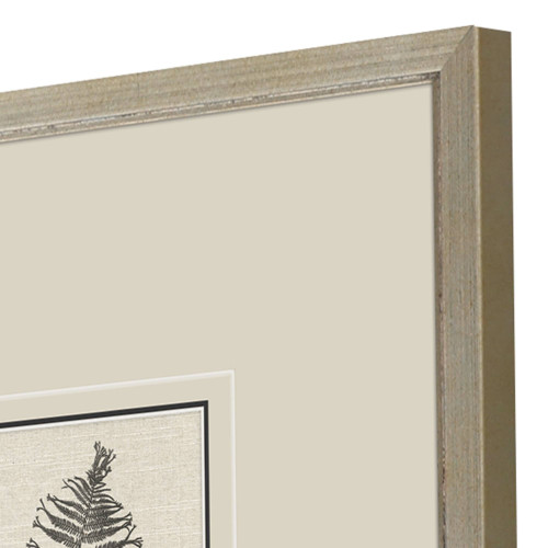 Set Of Four Petite Ferns Gold Framed Wall Art