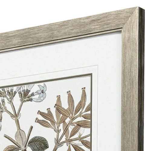 Flowering Botanical II Distressed Silver Framed Wall Art