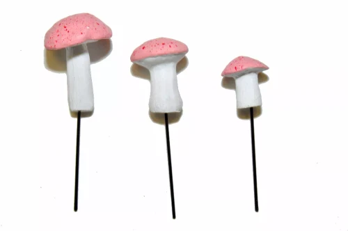 Garden Miniature Mushrooms