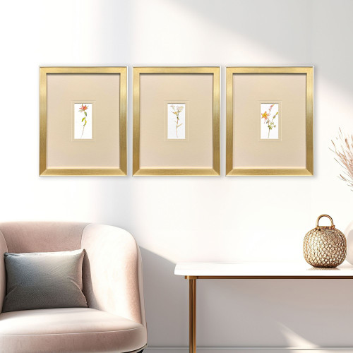 Set Of Three Pretty Florals II Gold Framed Wall Art