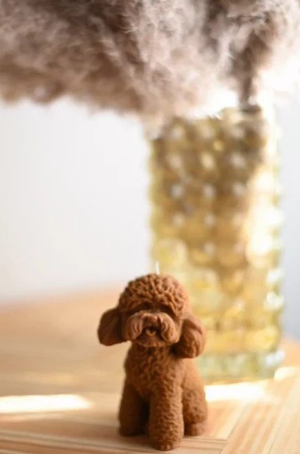 Poodle Collection