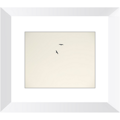 Birds Flying High - Framed Prints