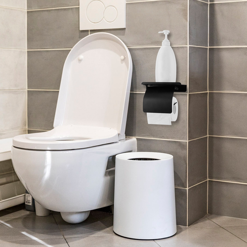 Wall Mounted Toilet Paper 