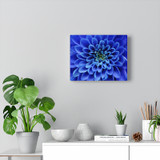 Canvas Wall Art