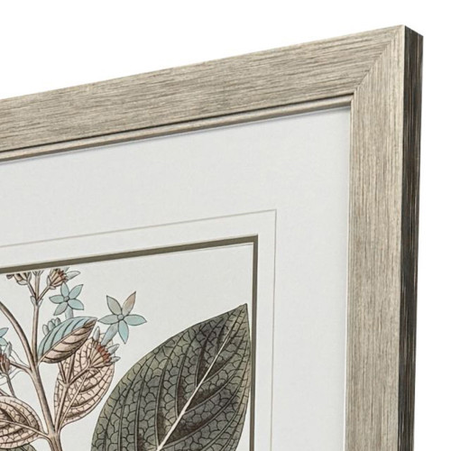 Flowering Botanical III Distressed Silver Framed Wall Art