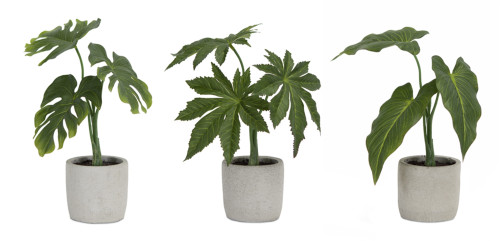 Set of Six 11" Green Artificial Foliage Tree In Round Ash Gray Pot