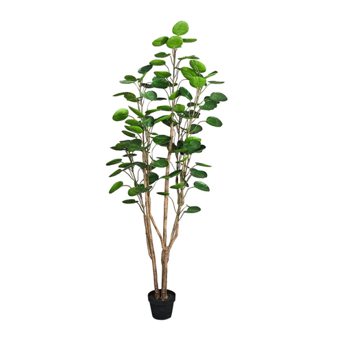 Plastic Potted Polyscias Scutellaria Plant Home Garden Artificial Tree