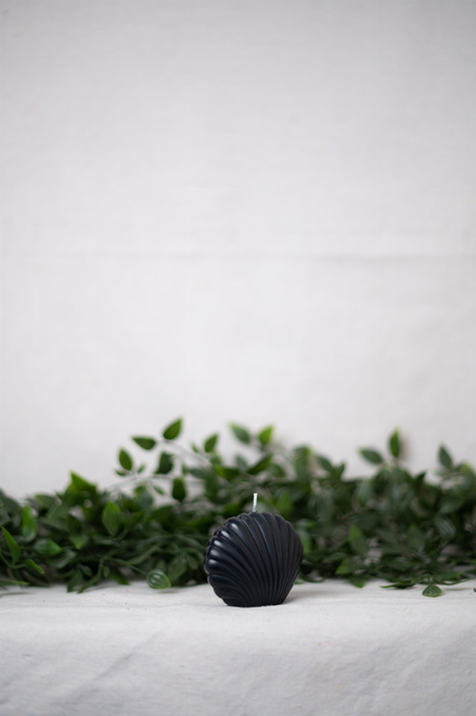Shell Candle Collection