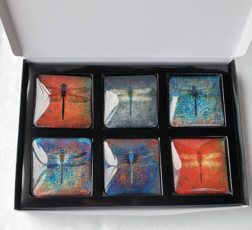 Set of 6 Acrylic Glass Magnets, The Dragonfly Collection
