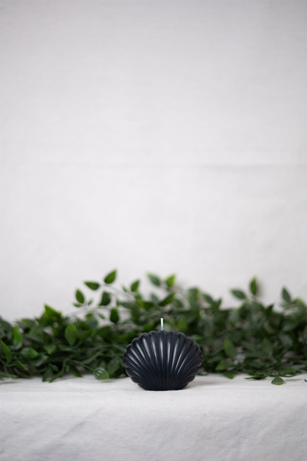 Shell Candle Collection