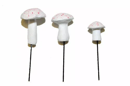 Garden Miniature Mushrooms