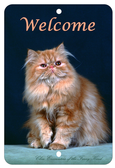 Persian Red Tabby  - Best of Breed  Indoor/Outdoor Aluminum Sign
