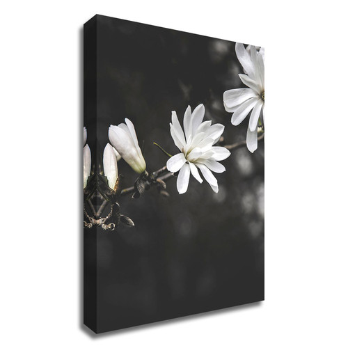 White Flowers Wrapped Canvas Print Wall Art