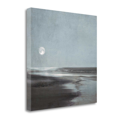 Moonlit Beach 3 Wrapped Canvas Print Wall Art