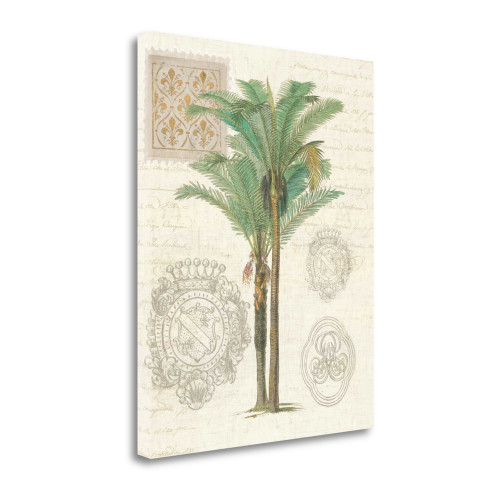 Vintage Palm Study II Wrapped Canvas Print Living Room Wall Art