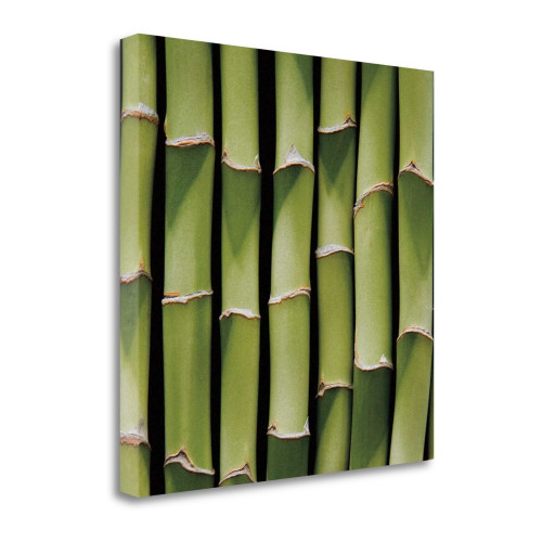 Bamboo Lengths Wrapped Canvas Print Wall Art