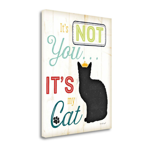 Its Not You Its My Cat Color 1 Wrapped Canvas Print Living Room Wall Art