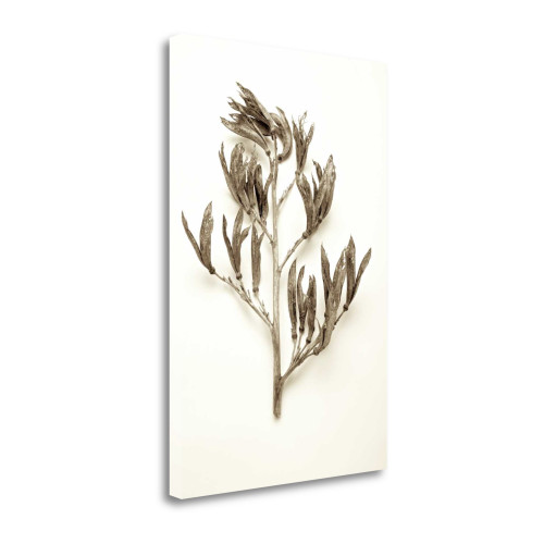 Garden Bloom 16 Wrapped Canvas Print Living Room Wall Art