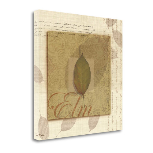 Elm Wrapped Canvas Print Wall Art