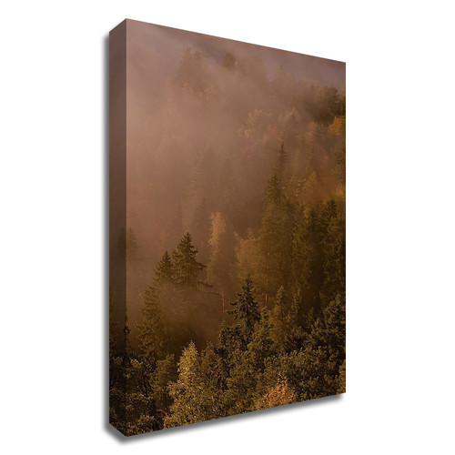 "Autumn Forest" Wrapped Canvas Print Wall Art