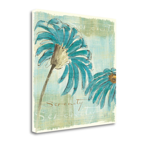 Spa Daisies IV Wrapped Canvas Print Living Room Wall Art